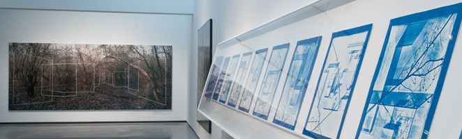 "Schloss im Wald zu bauen", 2012, photo Musées d'Angers / F. Baglin