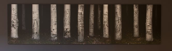 La forêt, 2008, centre national des arts plastiques,cliché Musées d'Angers / F. Baglin