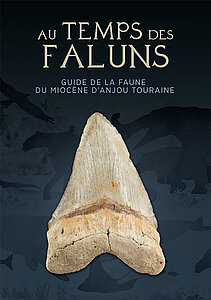 Au temps des faluns