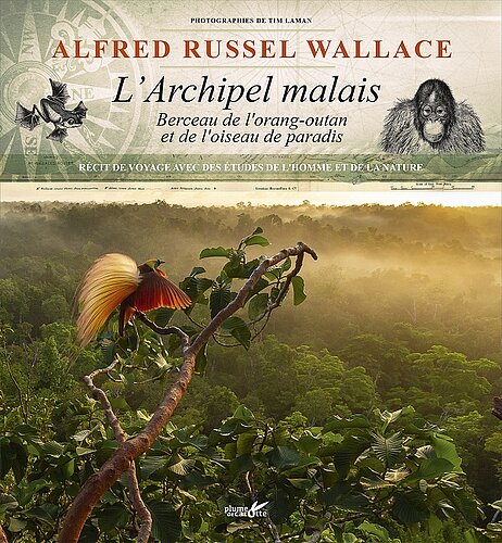 Alfred Russel Wallace et l’Archipel malais