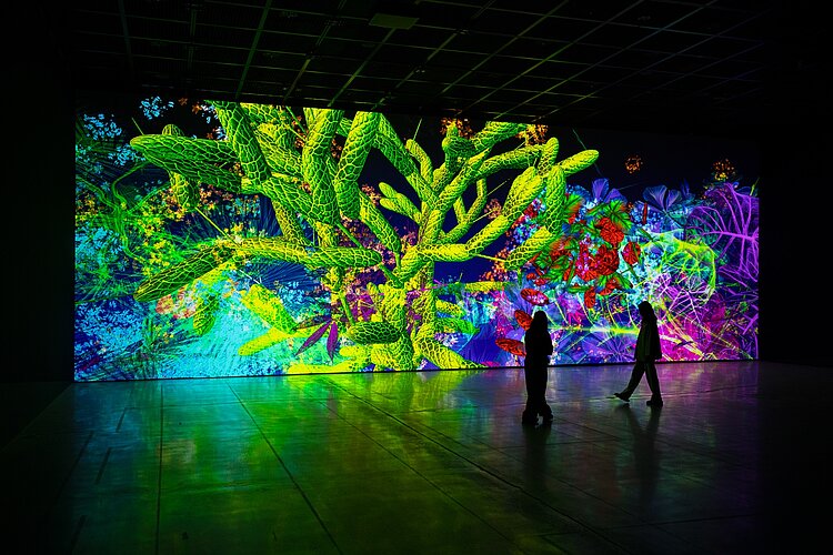 Nocturnes Exposition Digital Floralia