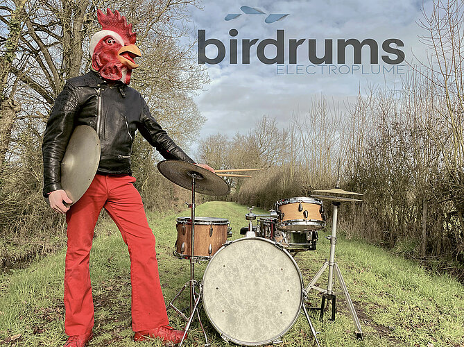 Birdrums