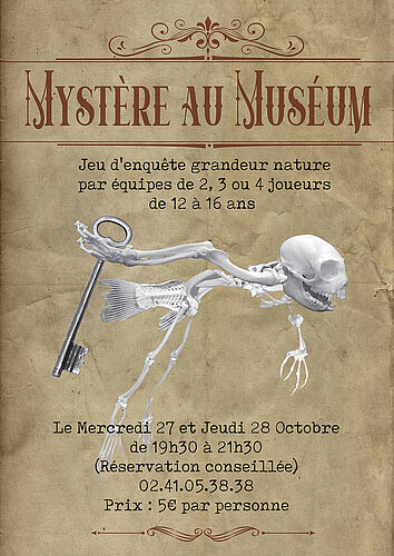 Mystère au Muséum Jeu d'ambiance énigmatique