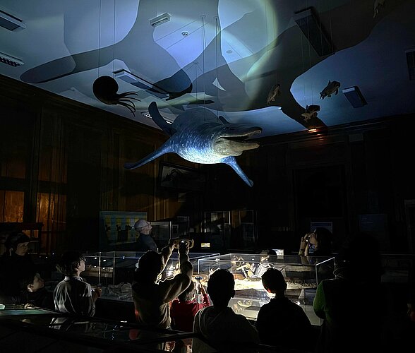 Visite du muséum à la lampe torche