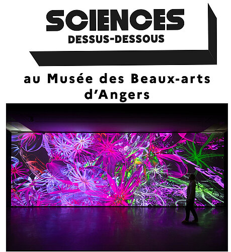 BotanIA : le quiz qui plante le d&eacute;cor !