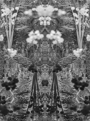 Atelier Nature Ambiguë